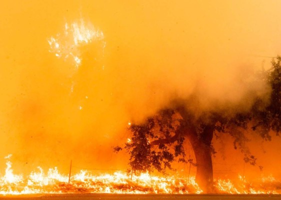 FOTOS: Muertos y miles de casas en peligro por incendios en California  