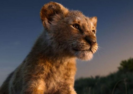 FOTOS: Bahati, la leoncita que sirvió de modelo para dar vida a Simba en 'El Rey León'