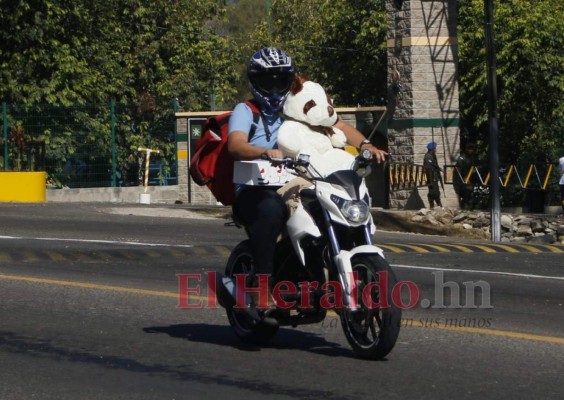 Peluches y besos: así se celebra San Valentín en Tegucigalpa (FOTOS)