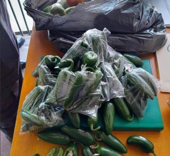 Chiles jalapeños, latas de pintura y encomiendas: las nuevas formas de transportar droga en Honduras