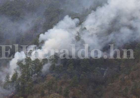 Así combaten incendio en El Hatillo con helicópteros