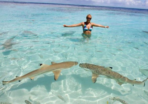 Oceans Ramsey, la sexy bióloga que te hará cambiar la forma de ver a los tiburones