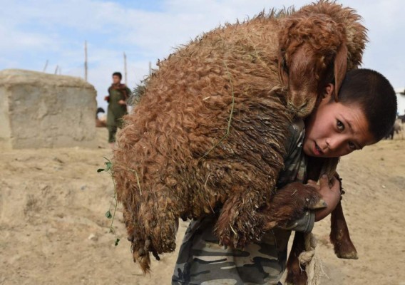 El impresionante trabajo de Shah Marai, el fotógrafo de AFP que murió en atentado en Kabul