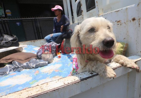 ¡Retorno Seguro! En caravanas regresan viajeros al cierre de la Semana Santa