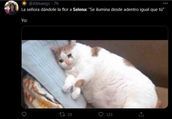 Entre lágrimas y alegría, estos son los mejores memes que dejó el estreno de Selena: La serie