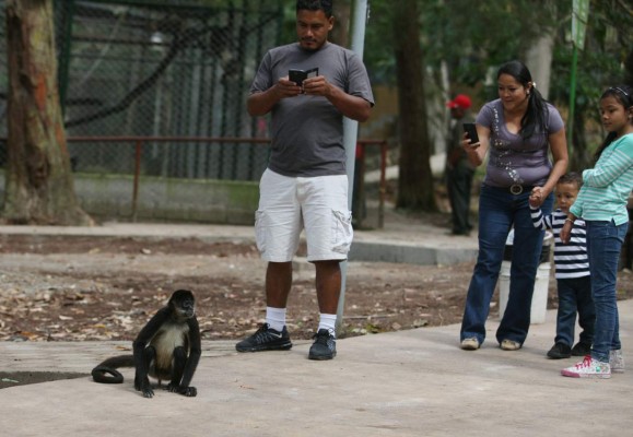 Una tarde con los animales del zoológico Rosy Walther