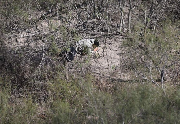 En imágenes la realidad que viven migrantes en la frontera con EEUU