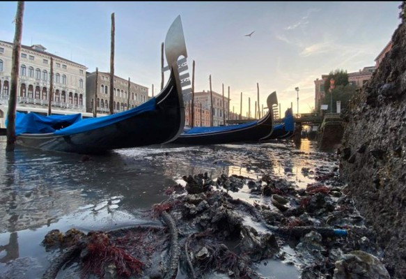 Las impactantes imágenes de los canales de Venecia sin agua