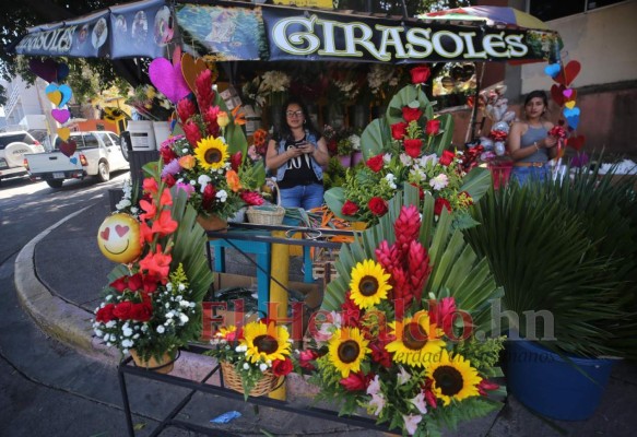 Peluches y besos: así se celebra San Valentín en Tegucigalpa (FOTOS)