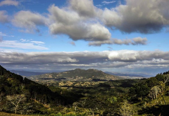 FOTOS: Artista ermitaño esculpe rocas en una montaña de Nicaragua