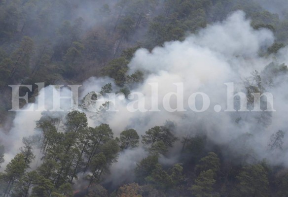 Así combaten incendio en El Hatillo con helicópteros