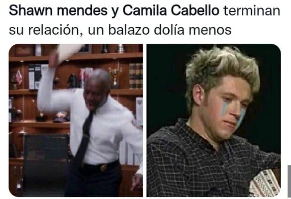 ¿Con quién se queda el perro? Los memes que dejó la separación de Camila Cabello y Shawn Mendes