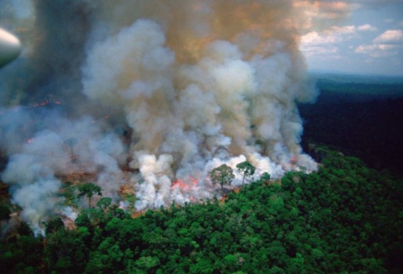 Así luce la Amazonia, el pulmón del mundo devorado por un incendio