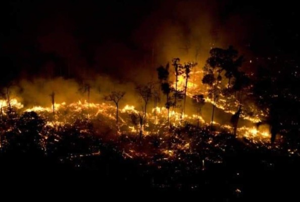 Así luce la Amazonia, el pulmón del mundo devorado por un incendio