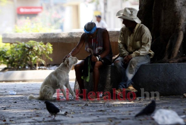 FOTOS: En la capital se resisten al encierro y salen en toque de queda