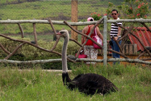 Los cinco lugares en Santa Cruz de Yojoa que debes visitar en esta Semana Santa