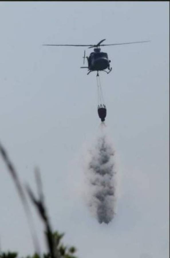 Apagan voraz incendio en Parque Nacional Jeannette Kawas