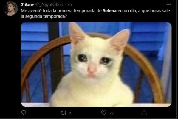 Entre lágrimas y alegría, estos son los mejores memes que dejó el estreno de Selena: La serie