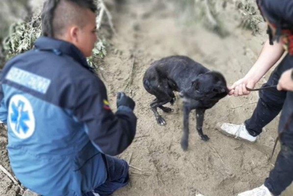 Así era 'Crestamán', el joven paramédico cuya muerte conmociona a Colombia (FOTOS)