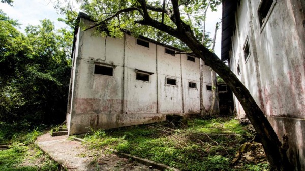 Maltrato, hambre y abusos sexuales, la oscura historia de la isla de los hombres solos (FOTOS)  