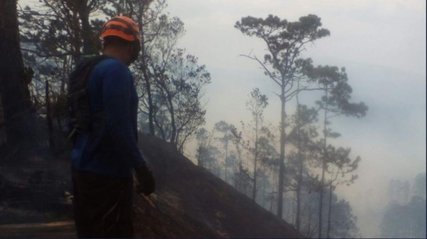 Imágenes del voraz incendio en el cerro Uyuca, salida al oriente de la capital de Honduras