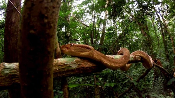 FOTOS: Conoce los 16 lugares que nunca podrás visitar en el mundo