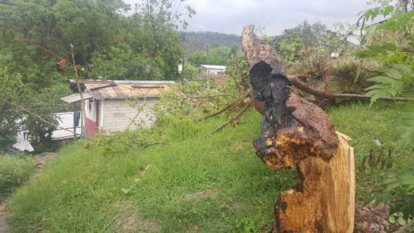 Fotos: Fuertes lluvias azotaron calles y avenidas de la capital de Honduras