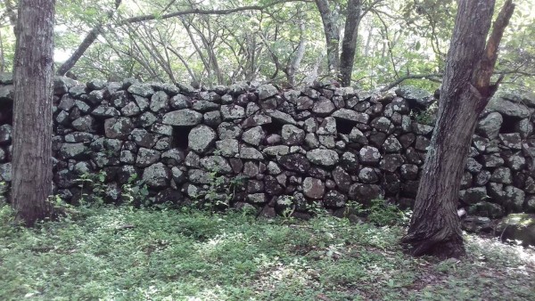 Biósfera de San Marcos de Colón y su cautivadora belleza natural que adorna Honduras