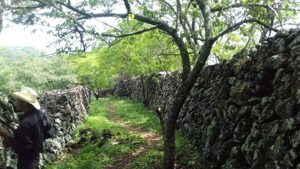 Biósfera de San Marcos de Colón y su cautivadora belleza natural que adorna Honduras