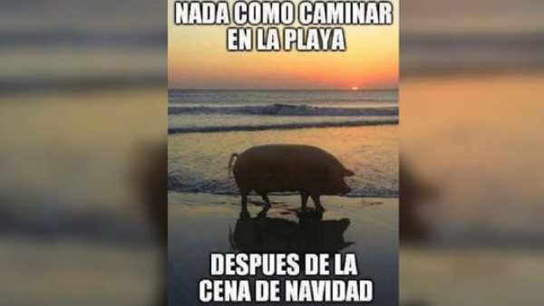 Los memes más divertidos para Navidad