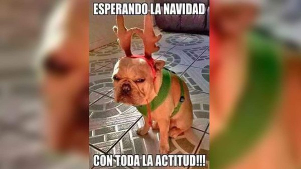 Los memes más divertidos para Navidad