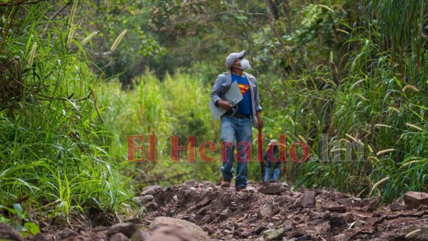 10 datos que debe conocer de la Montaña Triquilapa, el tesoro verde de la capital  