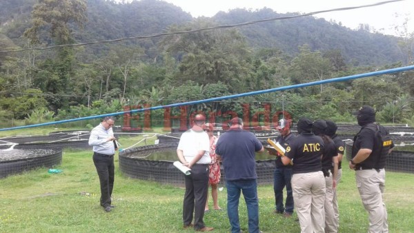 Criaderos de tilapia, oficinas y hasta un gimnasio entre bienes asegurados por caso Pandora