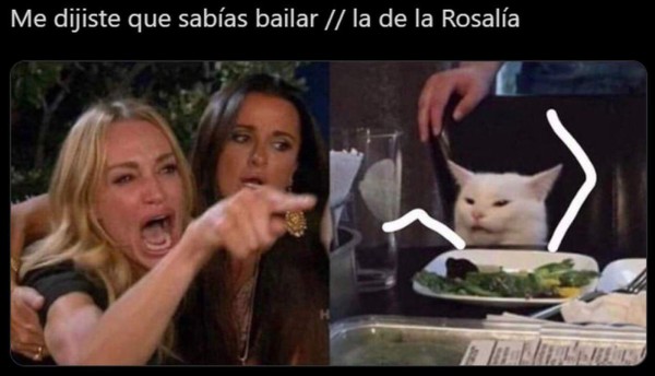 Los memes más graciosos del gato en la mesa y la mujer gritando