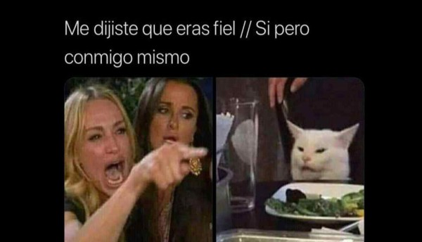 Los memes más graciosos del gato en la mesa y la mujer gritando