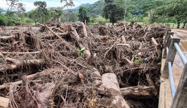 5 catástrofes de 2020 que no tuvieron que ver con la pandemia (FOTOS)  