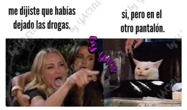 Los memes más graciosos del gato en la mesa y la mujer gritando