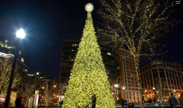 Árboles de Navidad más bellos del mundo: ¡Honduras en la lista!