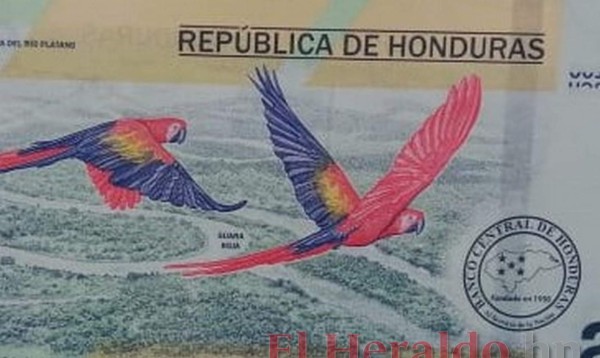 FOTOS: Así luce el billete de 200 lempiras que circulará a partir de septiembre