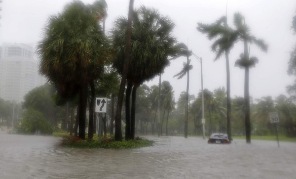 Las imágenes de una Florida azotada por el huracán Irma; ya son tres muertos