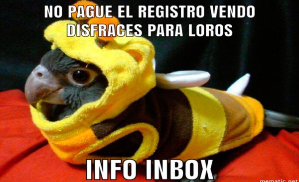 Los divertidos memes que generó el registro de aves silvestres en Honduras