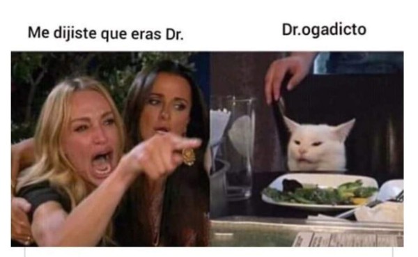 Los memes más graciosos del gato en la mesa y la mujer gritando