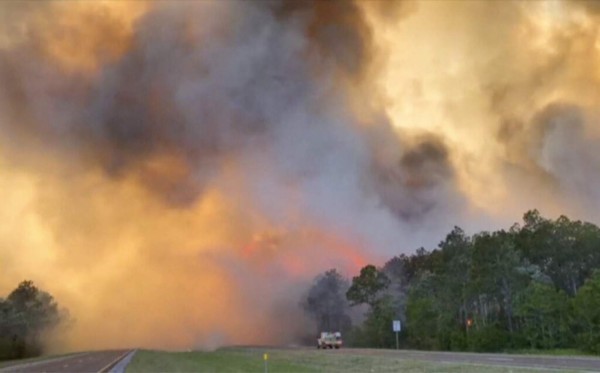 Impactantes imágenes de los devastadores incendios forestales en Florida