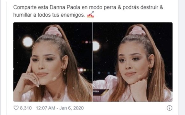 Los graciosos memes que desató el pleito entre Danna Paola y alumno de La Academia