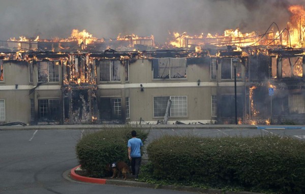 Fotos: Las impactantes imágenes que dejó en incendio en zona vinícola de California, EEUU