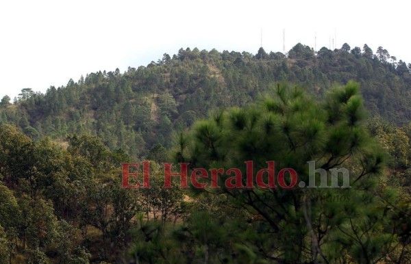 10 datos que debe conocer de la Montaña Triquilapa, el tesoro verde de la capital  