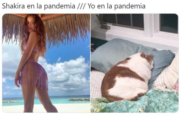 Shakira luce demasiado sexy en bikini y fans la elogian con memes