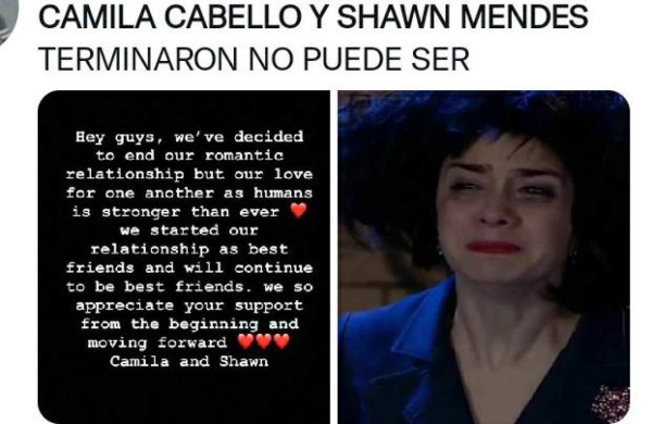 ¿Con quién se queda el perro? Los memes que dejó la separación de Camila Cabello y Shawn Mendes