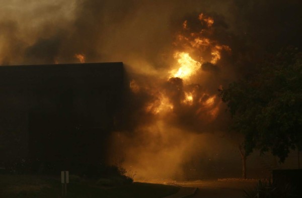 Fotos: Las impactantes imágenes que dejó en incendio en zona vinícola de California, EEUU