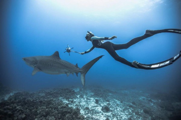 Oceans Ramsey, la sexy bióloga que te hará cambiar la forma de ver a los tiburones